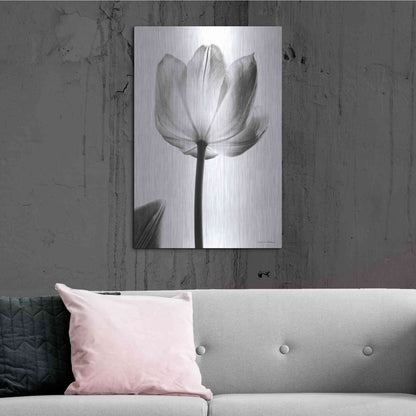 Luxe Metal Art 'Translucent Tulips I' by Debra Van Swearingen, Metal Wall Art,24x36