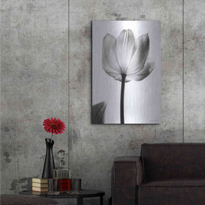 Luxe Metal Art 'Translucent Tulips I' by Debra Van Swearingen, Metal Wall Art,24x36