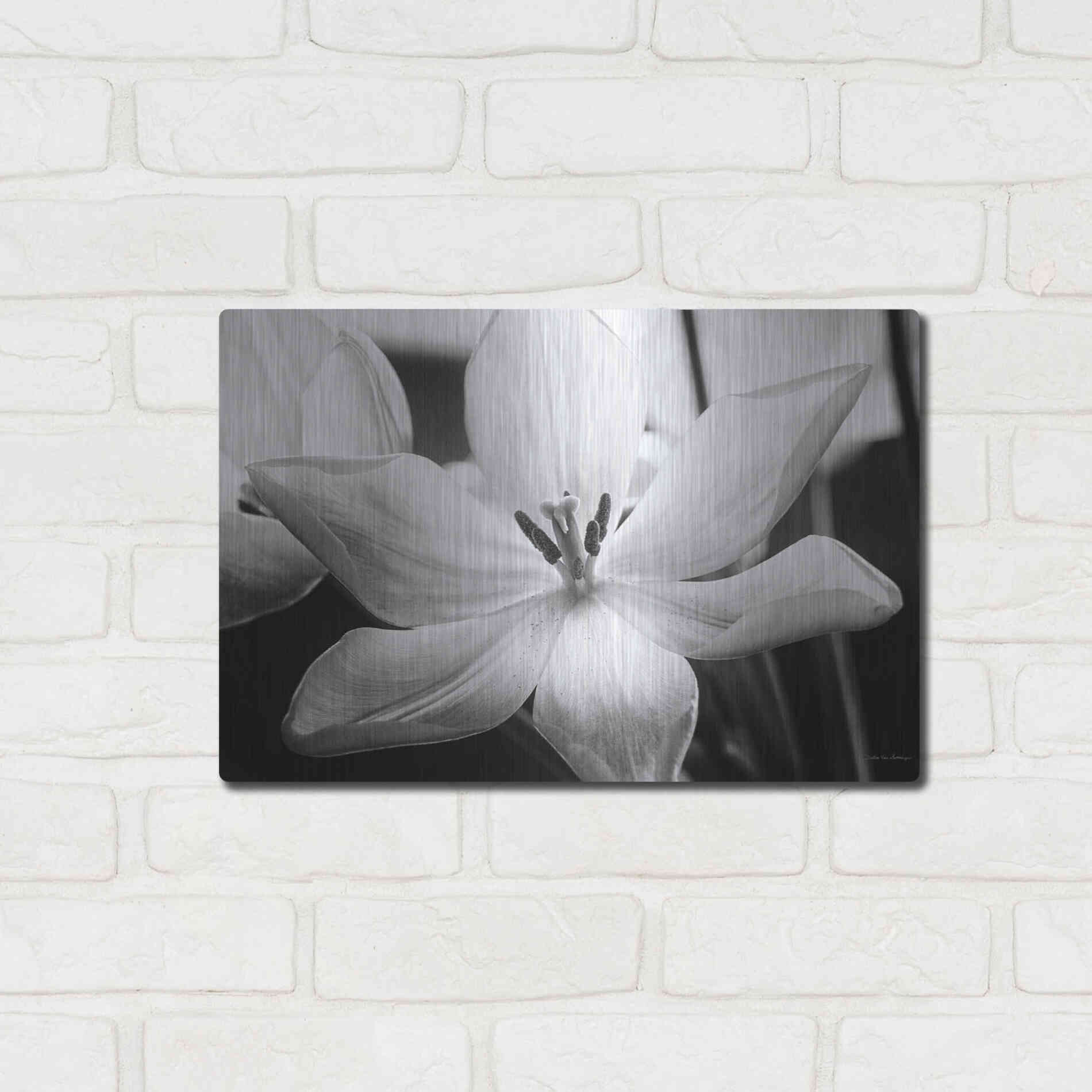 Luxe Metal Art 'Translucent Tulips IV' by Debra Van Swearingen, Metal Wall Art,16x12
