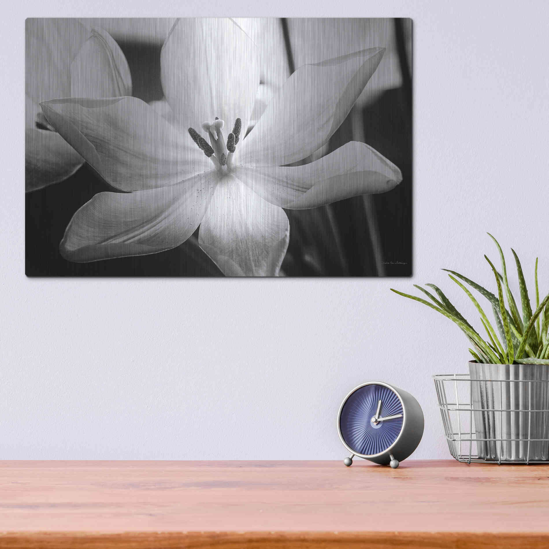 Luxe Metal Art 'Translucent Tulips IV' by Debra Van Swearingen, Metal Wall Art,16x12
