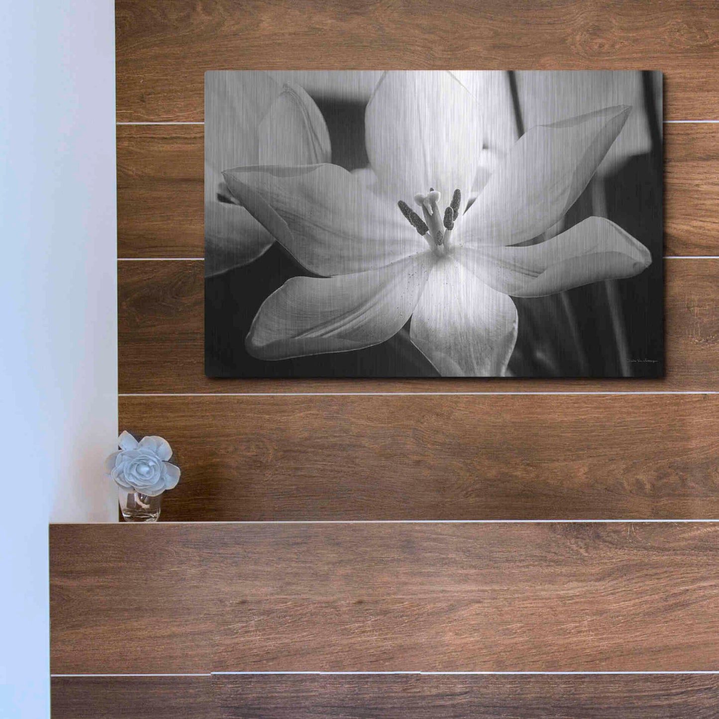 Luxe Metal Art 'Translucent Tulips IV' by Debra Van Swearingen, Metal Wall Art,16x12