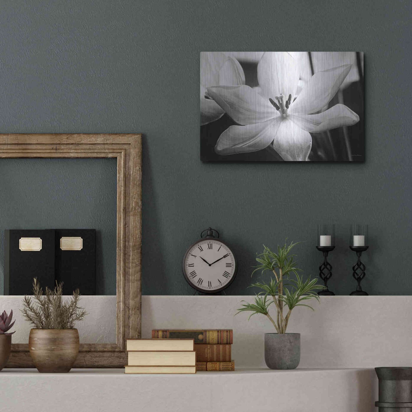Luxe Metal Art 'Translucent Tulips IV' by Debra Van Swearingen, Metal Wall Art,16x12