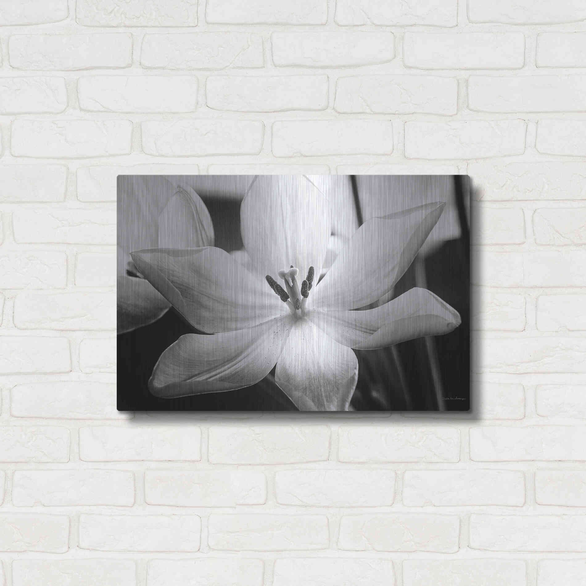 Luxe Metal Art 'Translucent Tulips IV' by Debra Van Swearingen, Metal Wall Art,24x16