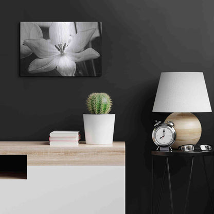 Luxe Metal Art 'Translucent Tulips IV' by Debra Van Swearingen, Metal Wall Art,24x16