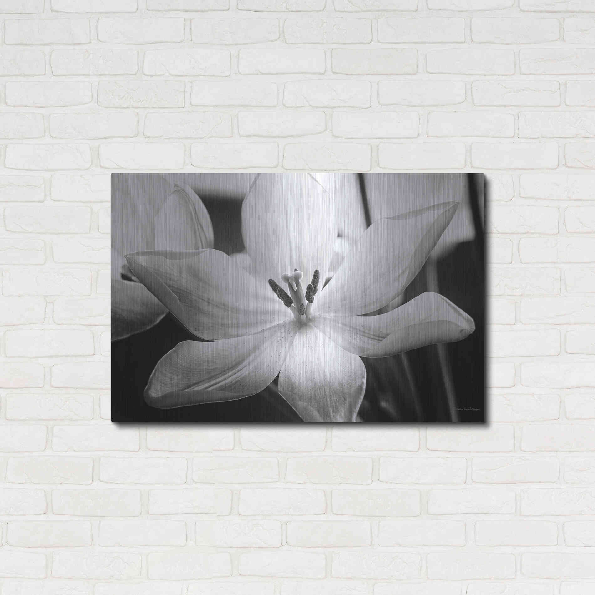 Luxe Metal Art 'Translucent Tulips IV' by Debra Van Swearingen, Metal Wall Art,36x24