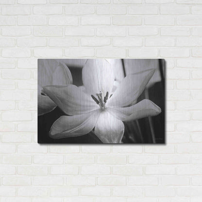 Luxe Metal Art 'Translucent Tulips IV' by Debra Van Swearingen, Metal Wall Art,36x24