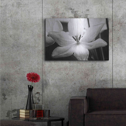 Luxe Metal Art 'Translucent Tulips IV' by Debra Van Swearingen, Metal Wall Art,36x24