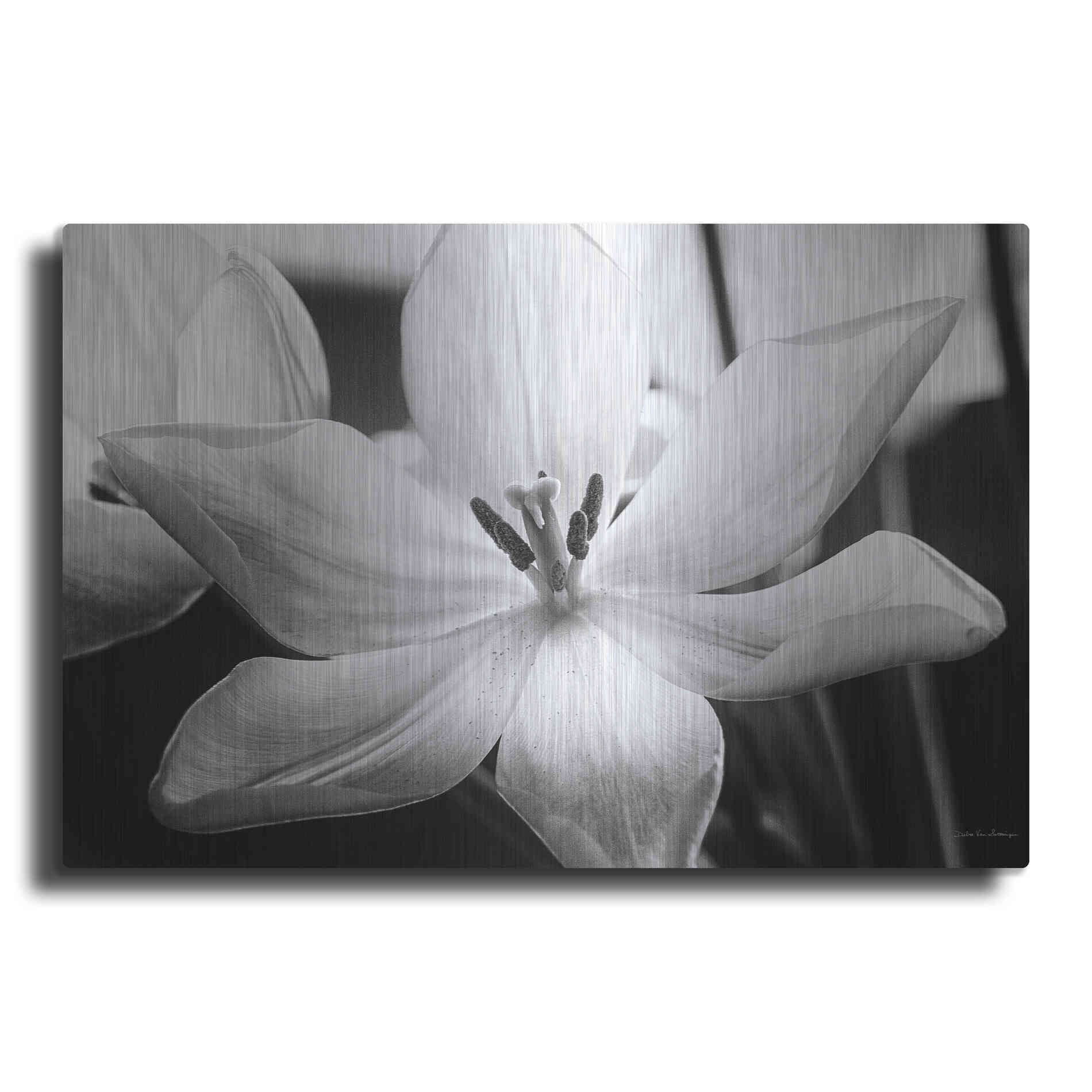 Luxe Metal Art 'Translucent Tulips IV' by Debra Van Swearingen, Metal Wall Art