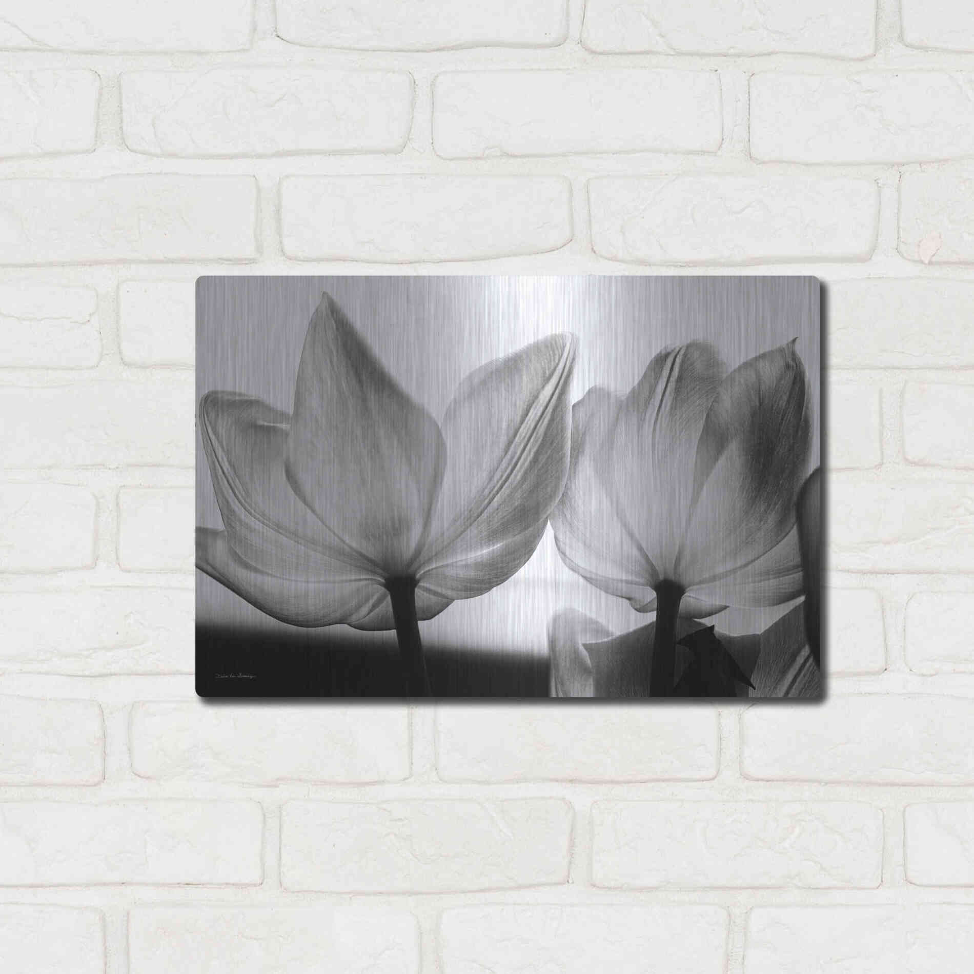 Luxe Metal Art 'Translucent Tulips V' by Debra Van Swearingen, Metal Wall Art,16x12