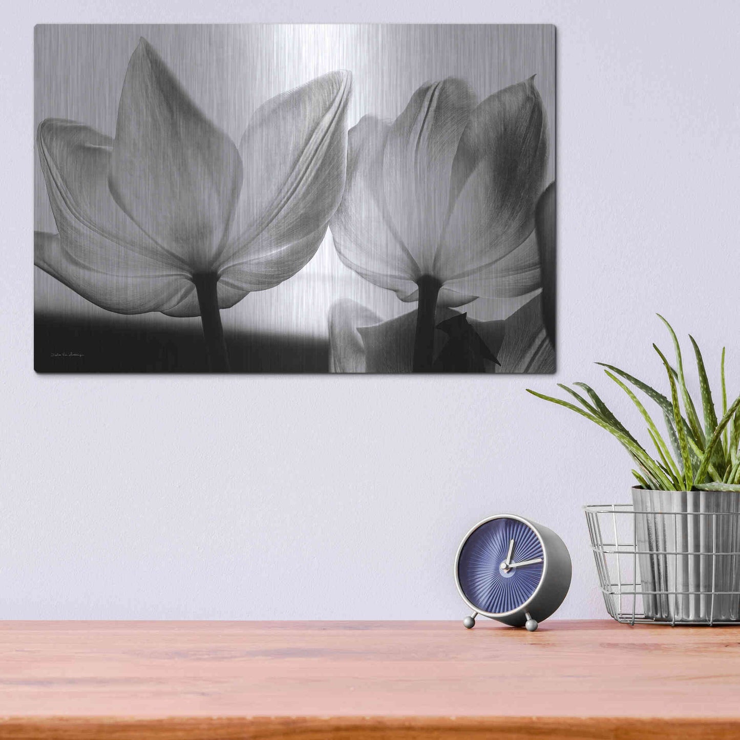 Luxe Metal Art 'Translucent Tulips V' by Debra Van Swearingen, Metal Wall Art,16x12