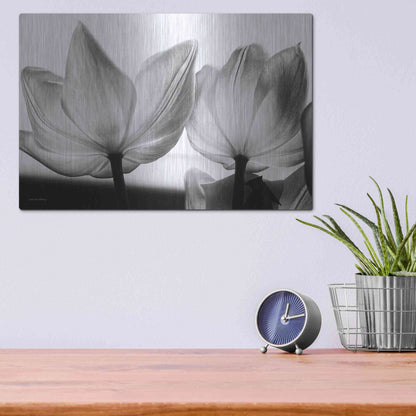 Luxe Metal Art 'Translucent Tulips V' by Debra Van Swearingen, Metal Wall Art,16x12