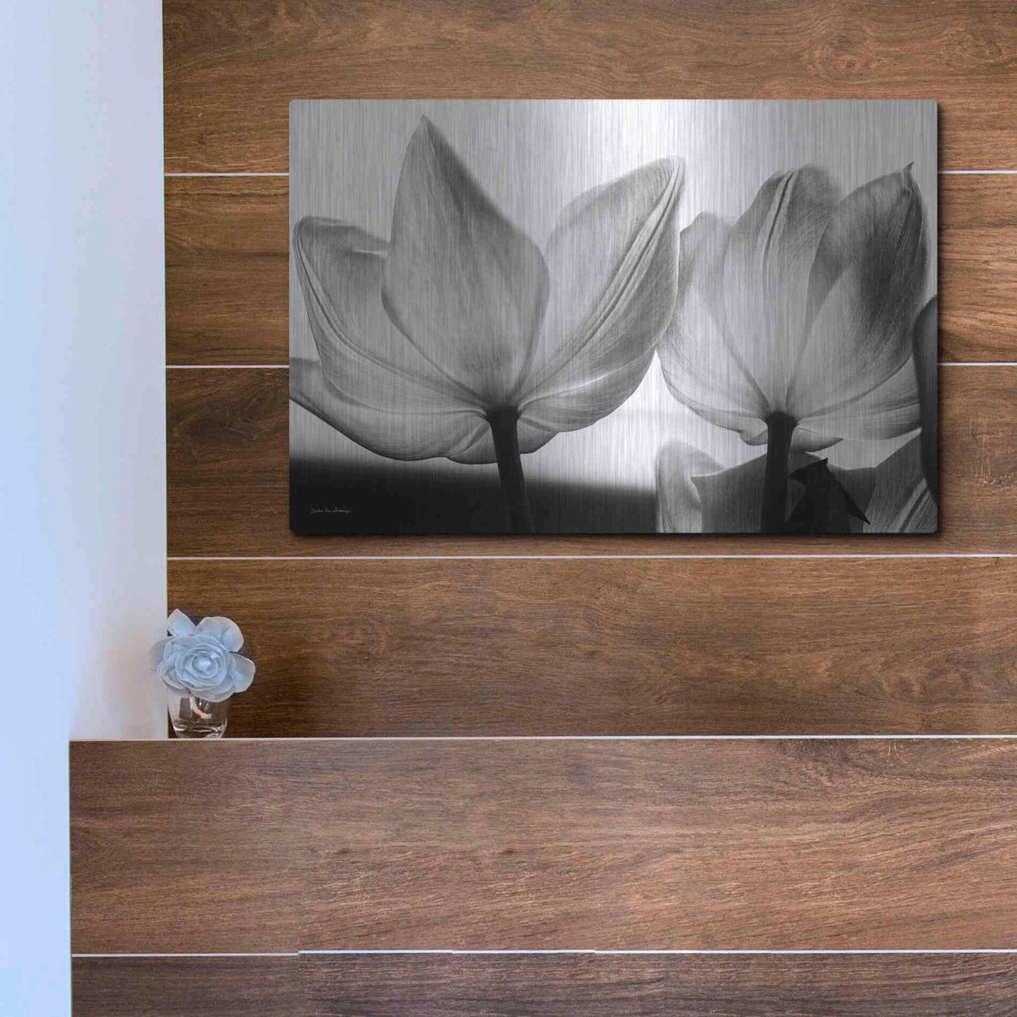 Luxe Metal Art 'Translucent Tulips V' by Debra Van Swearingen, Metal Wall Art,16x12