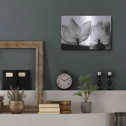 Luxe Metal Art 'Translucent Tulips V' by Debra Van Swearingen, Metal Wall Art,16x12