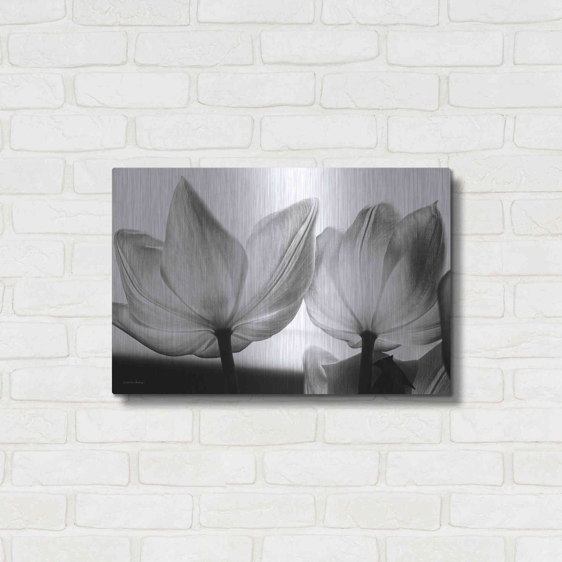 Luxe Metal Art 'Translucent Tulips V' by Debra Van Swearingen, Metal Wall Art,24x16