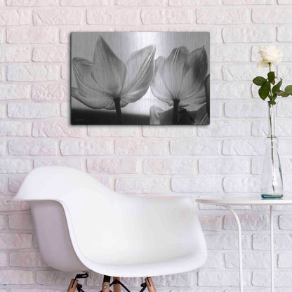 Luxe Metal Art 'Translucent Tulips V' by Debra Van Swearingen, Metal Wall Art,24x16
