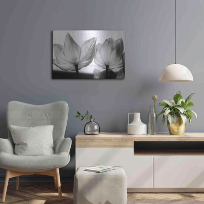 Luxe Metal Art 'Translucent Tulips V' by Debra Van Swearingen, Metal Wall Art,24x16