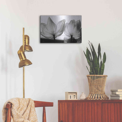 Luxe Metal Art 'Translucent Tulips V' by Debra Van Swearingen, Metal Wall Art,24x16
