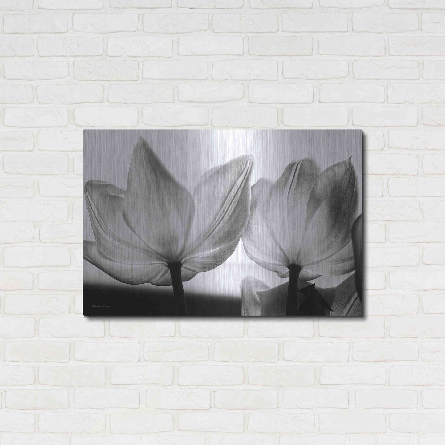 Luxe Metal Art 'Translucent Tulips V' by Debra Van Swearingen, Metal Wall Art,36x24