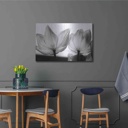 Luxe Metal Art 'Translucent Tulips V' by Debra Van Swearingen, Metal Wall Art,36x24