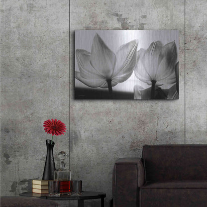 Luxe Metal Art 'Translucent Tulips V' by Debra Van Swearingen, Metal Wall Art,36x24