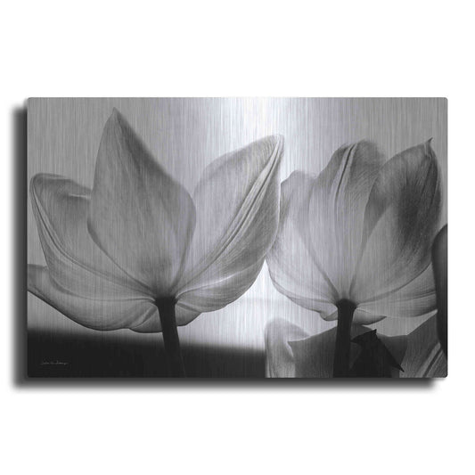 Luxe Metal Art 'Translucent Tulips V' by Debra Van Swearingen, Metal Wall Art