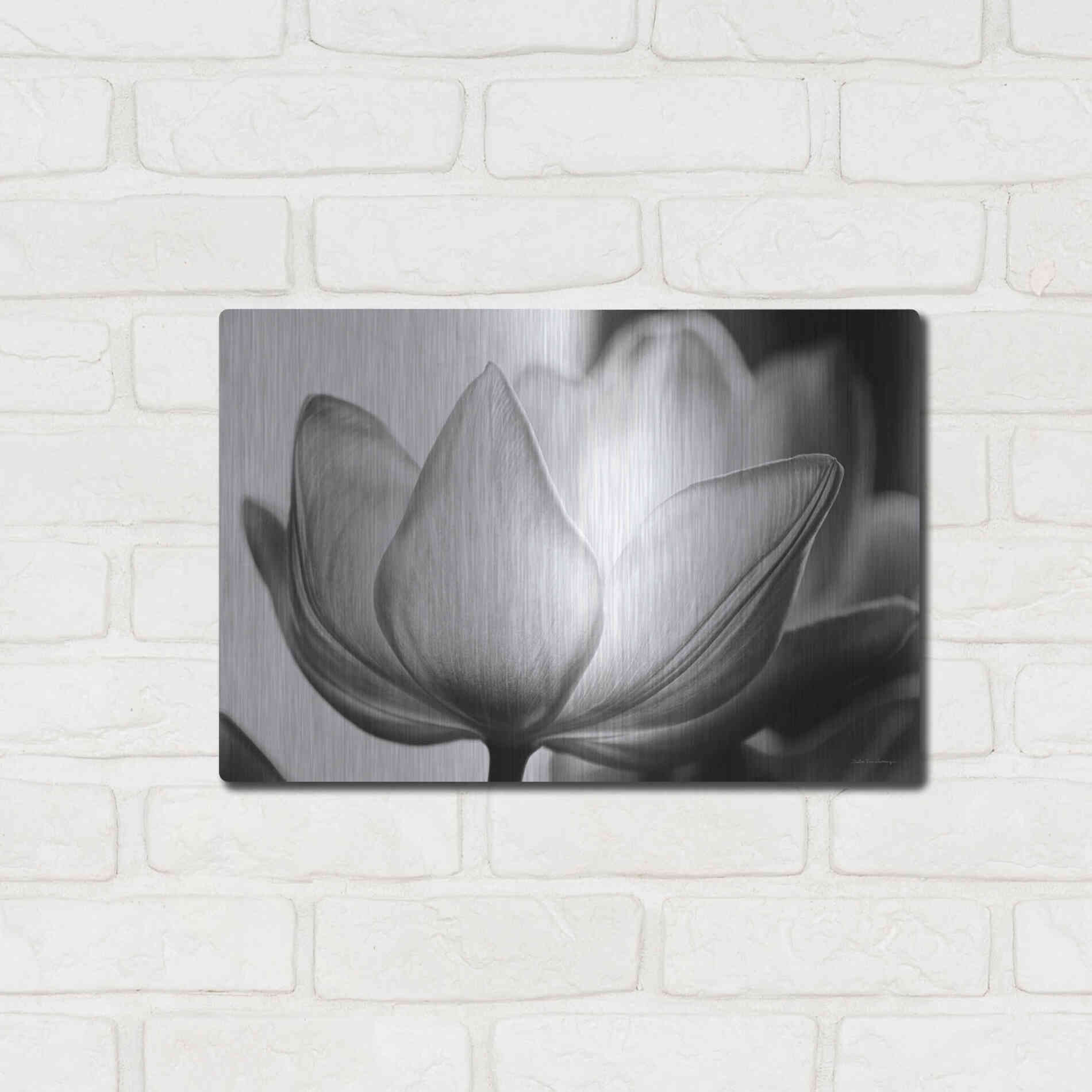 Luxe Metal Art 'Translucent Tulips VI' by Debra Van Swearingen, Metal Wall Art,16x12