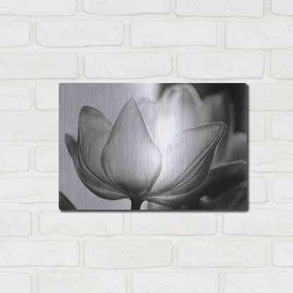 Luxe Metal Art 'Translucent Tulips VI' by Debra Van Swearingen, Metal Wall Art,16x12