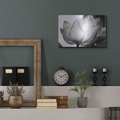 Luxe Metal Art 'Translucent Tulips VI' by Debra Van Swearingen, Metal Wall Art,16x12