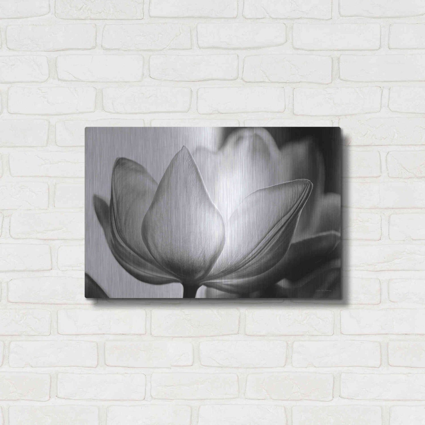 Luxe Metal Art 'Translucent Tulips VI' by Debra Van Swearingen, Metal Wall Art,24x16