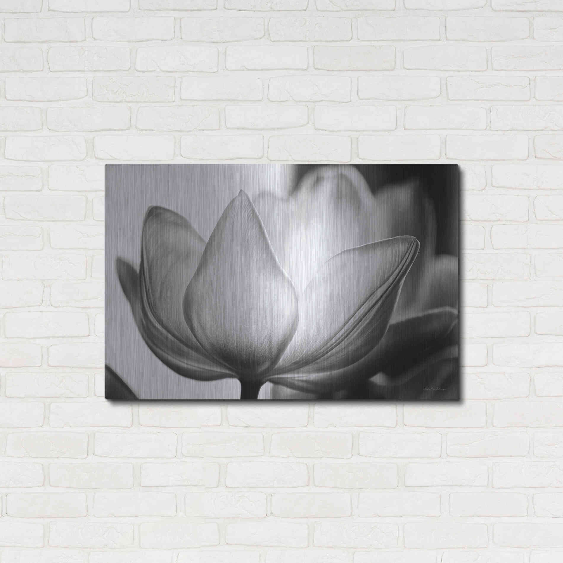 Luxe Metal Art 'Translucent Tulips VI' by Debra Van Swearingen, Metal Wall Art,36x24