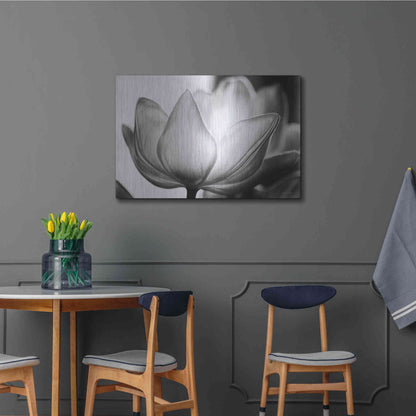 Luxe Metal Art 'Translucent Tulips VI' by Debra Van Swearingen, Metal Wall Art,36x24