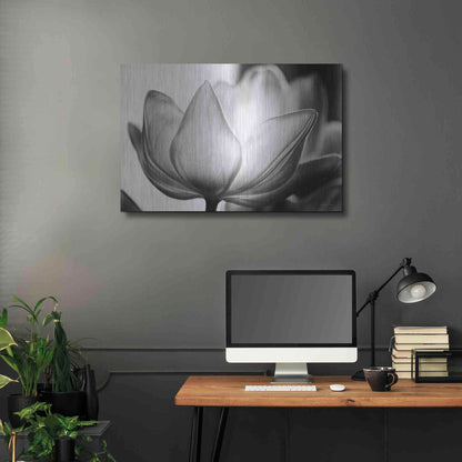 Luxe Metal Art 'Translucent Tulips VI' by Debra Van Swearingen, Metal Wall Art,36x24
