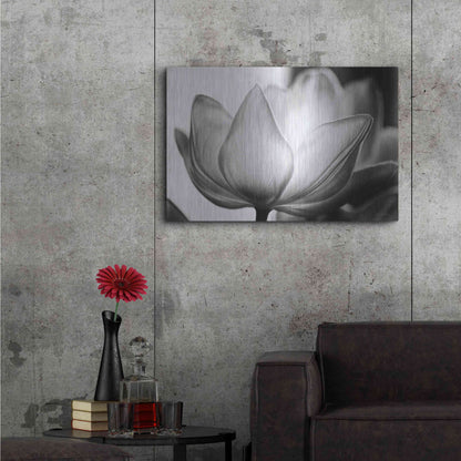Luxe Metal Art 'Translucent Tulips VI' by Debra Van Swearingen, Metal Wall Art,36x24