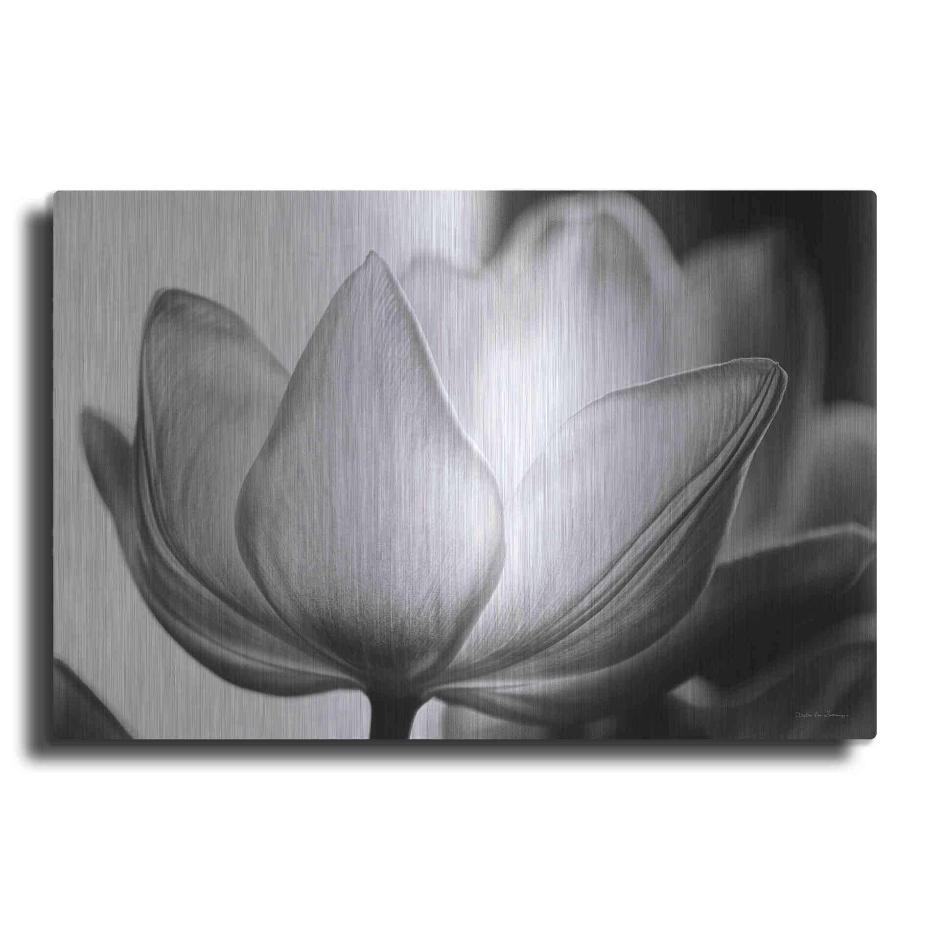 Luxe Metal Art 'Translucent Tulips VI' by Debra Van Swearingen, Metal Wall Art