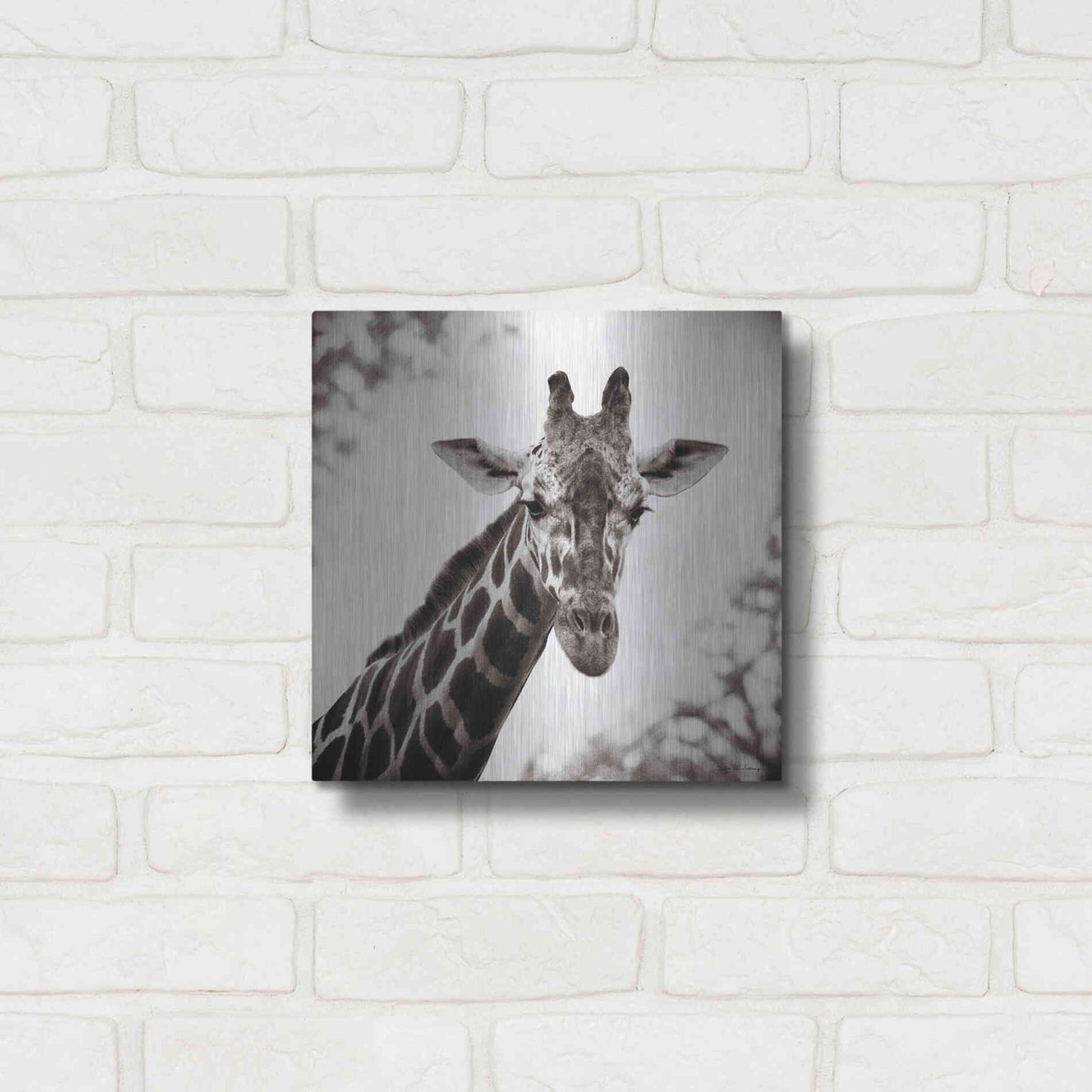 Luxe Metal Art 'Giraffe I' by Debra Van Swearingen, Metal Wall Art,12x12