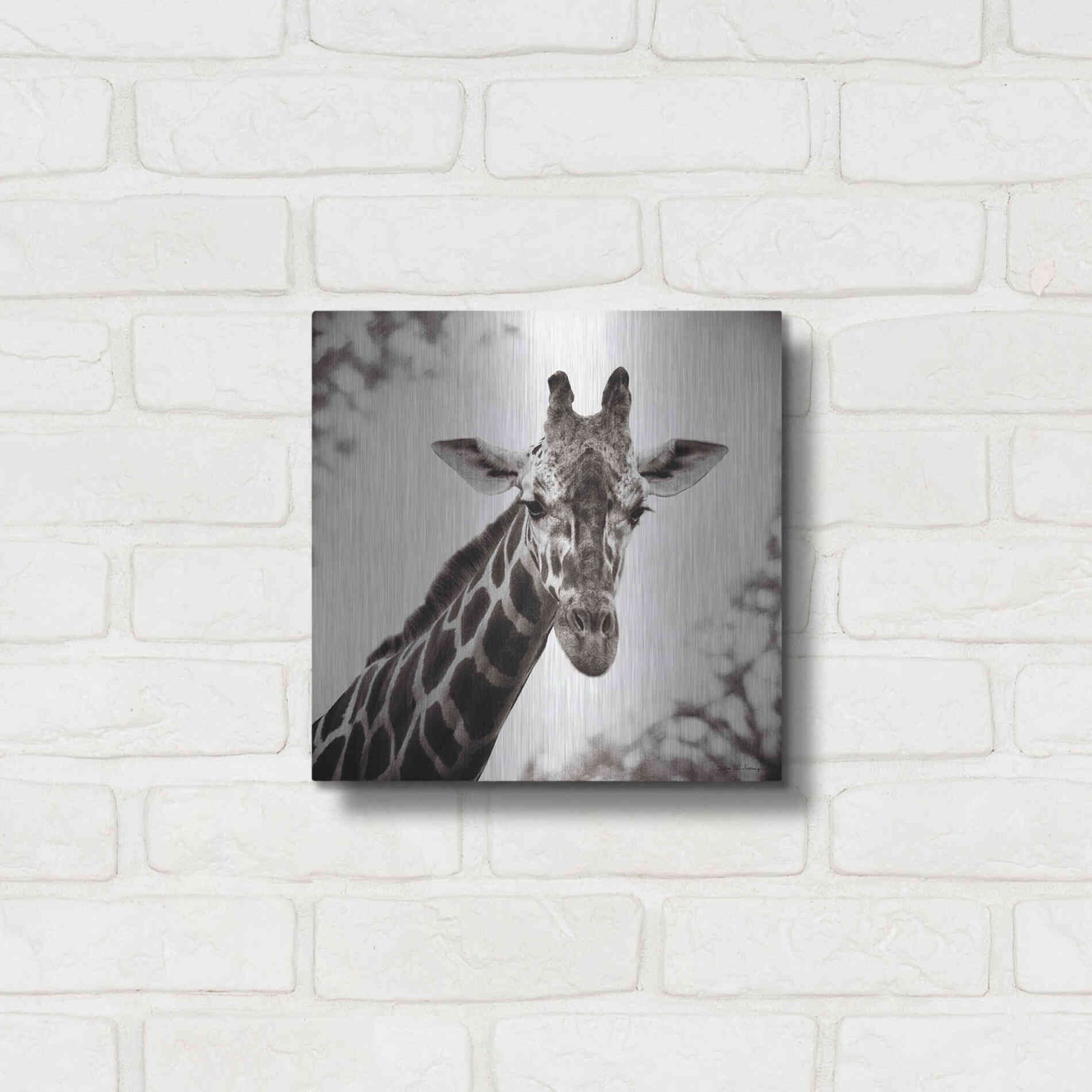 Luxe Metal Art 'Giraffe I' by Debra Van Swearingen, Metal Wall Art,12x12