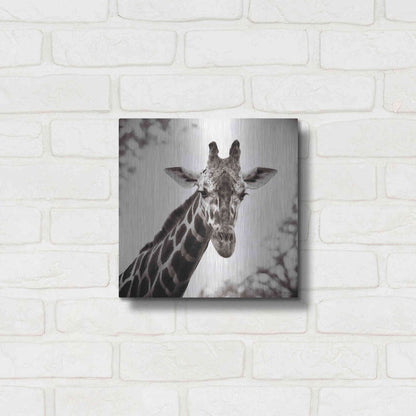 Luxe Metal Art 'Giraffe I' by Debra Van Swearingen, Metal Wall Art,12x12