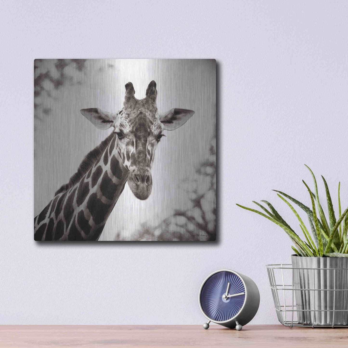 Luxe Metal Art 'Giraffe I' by Debra Van Swearingen, Metal Wall Art,12x12