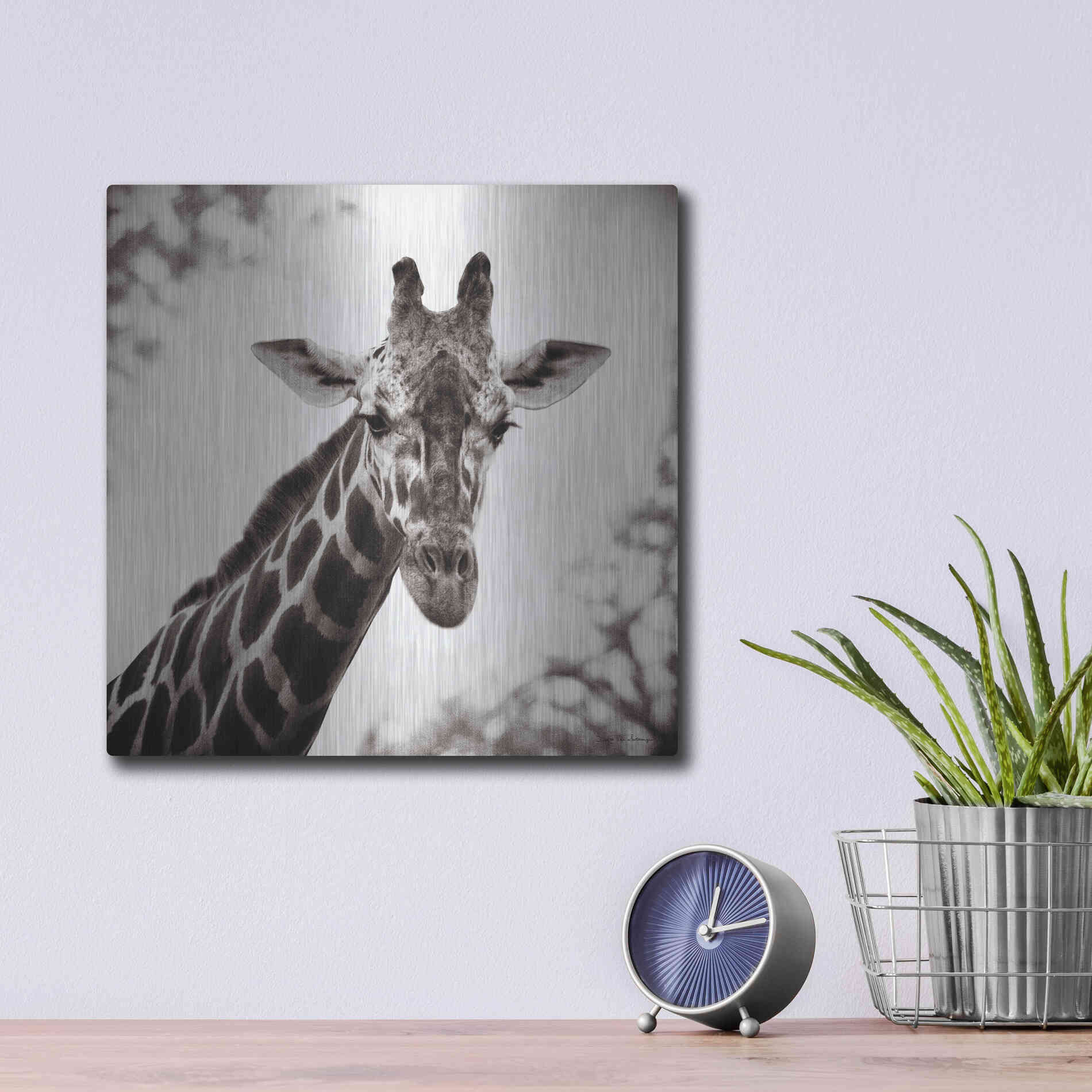 Luxe Metal Art 'Giraffe I' by Debra Van Swearingen, Metal Wall Art,12x12