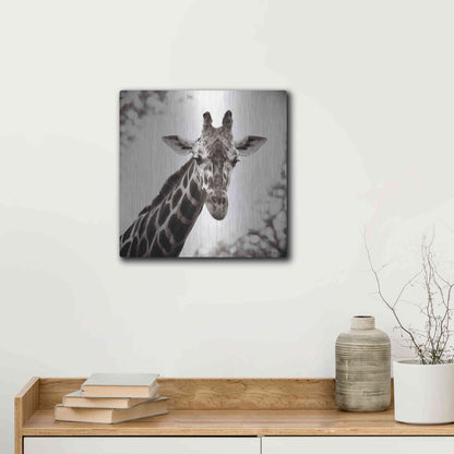 Luxe Metal Art 'Giraffe I' by Debra Van Swearingen, Metal Wall Art,12x12