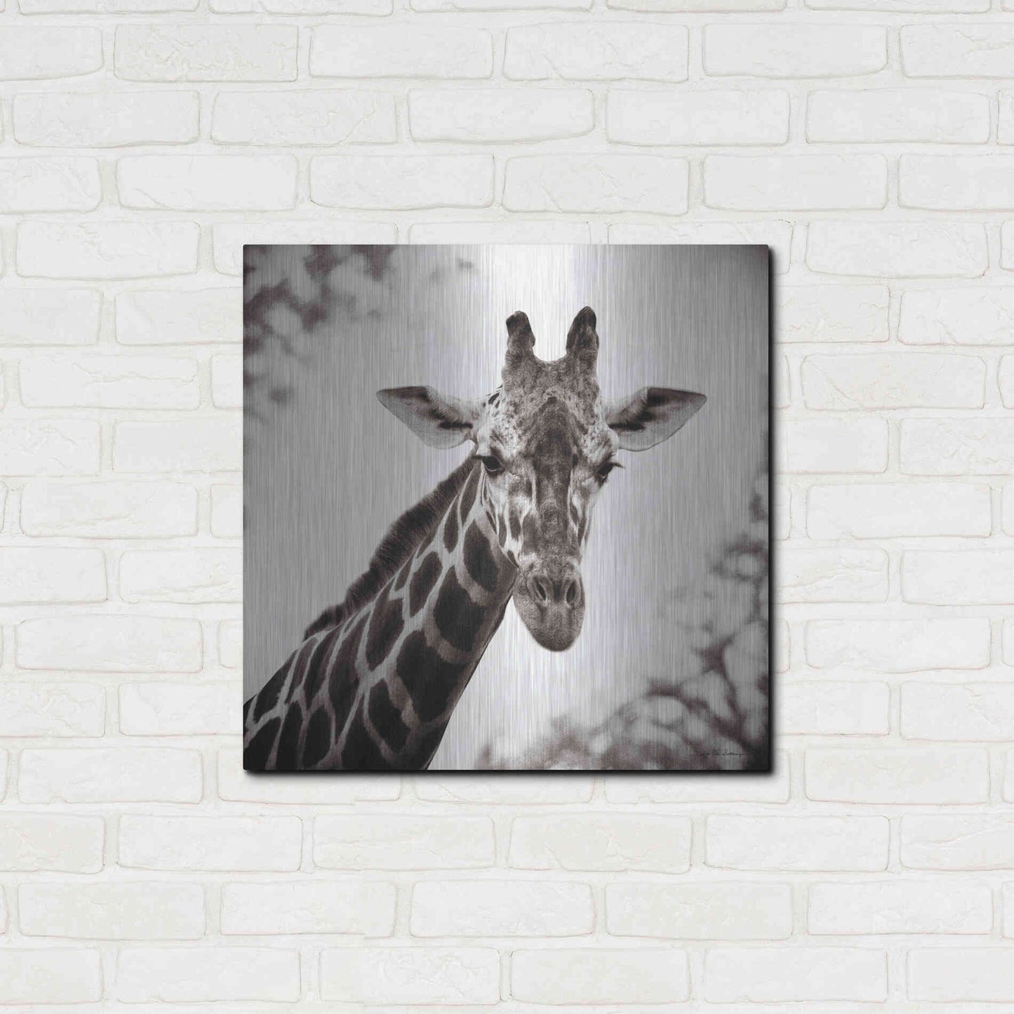 Luxe Metal Art 'Giraffe I' by Debra Van Swearingen, Metal Wall Art,24x24