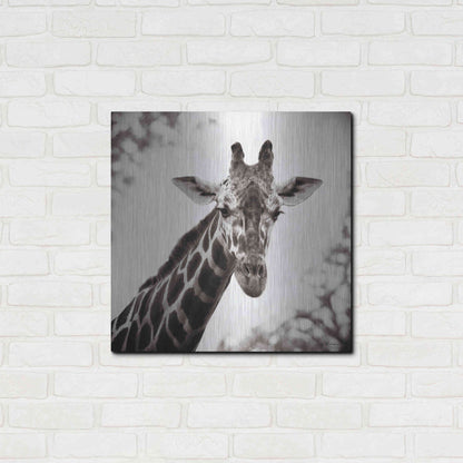 Luxe Metal Art 'Giraffe I' by Debra Van Swearingen, Metal Wall Art,24x24