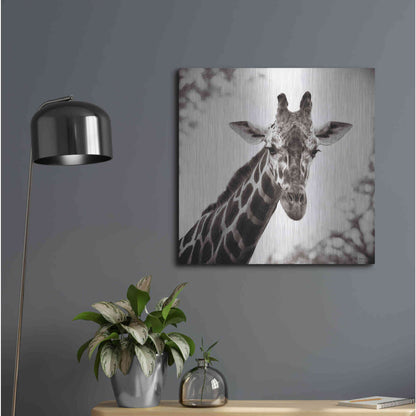 Luxe Metal Art 'Giraffe I' by Debra Van Swearingen, Metal Wall Art,24x24