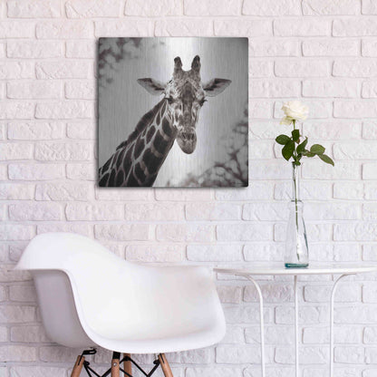 Luxe Metal Art 'Giraffe I' by Debra Van Swearingen, Metal Wall Art,24x24