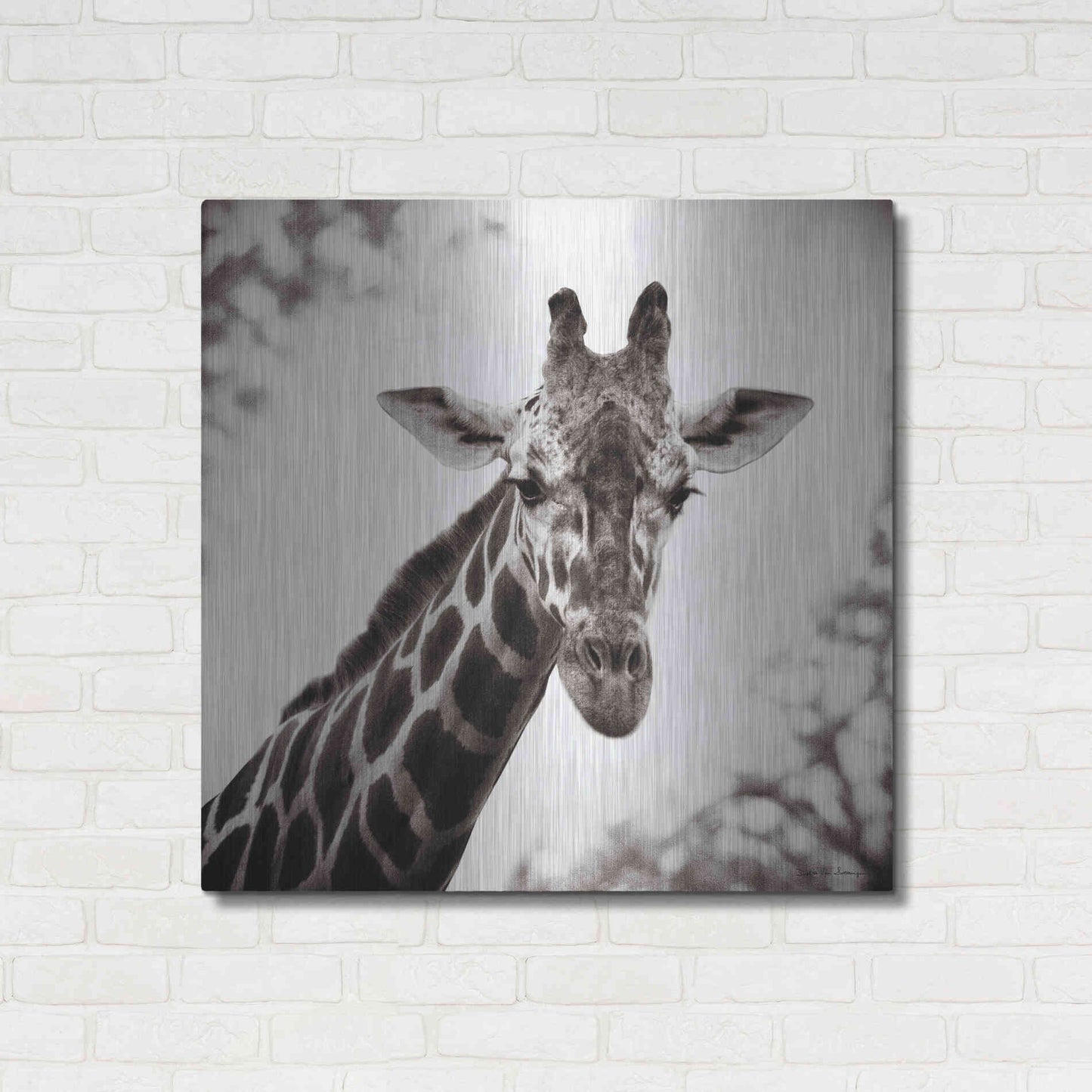 Luxe Metal Art 'Giraffe I' by Debra Van Swearingen, Metal Wall Art,36x36