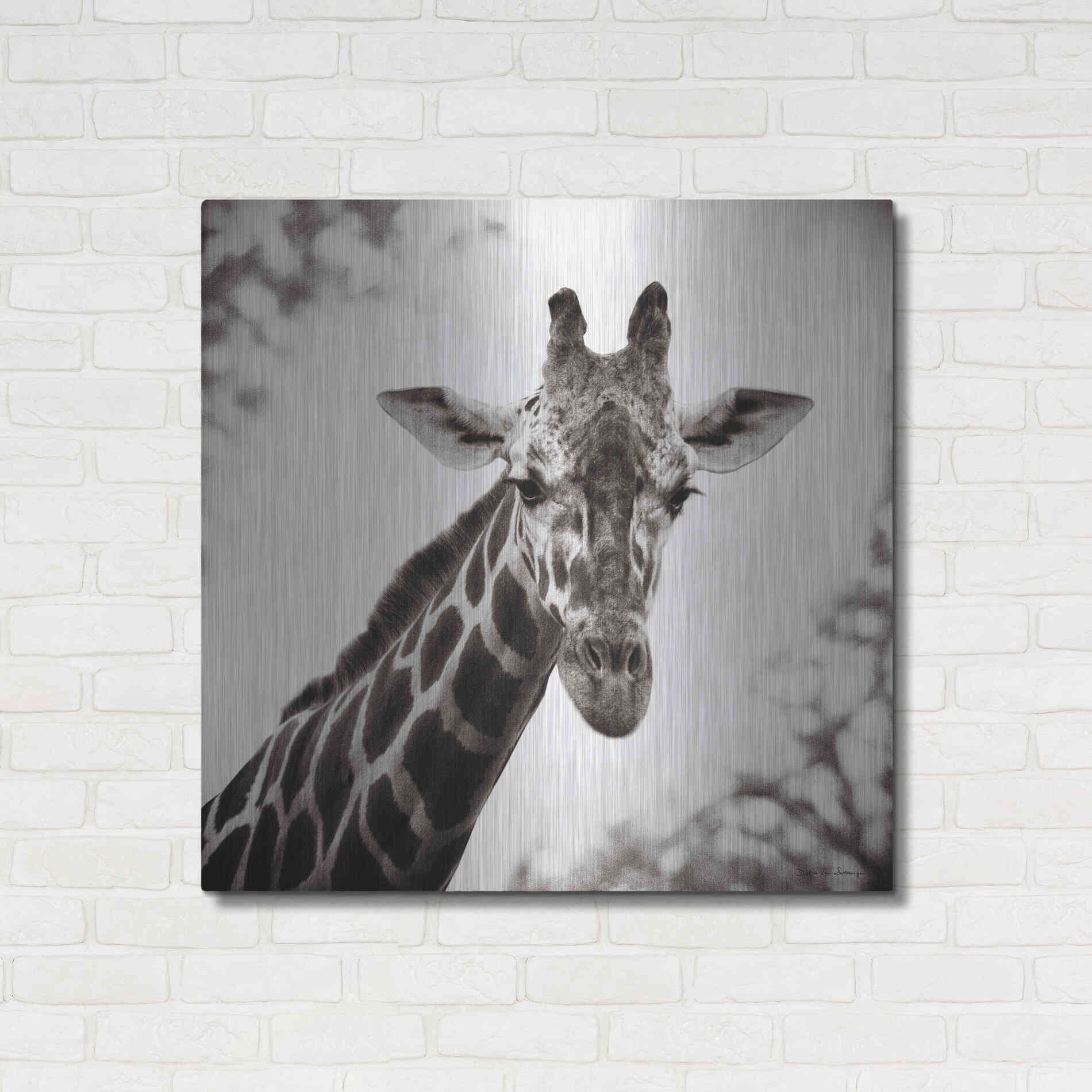 Luxe Metal Art 'Giraffe I' by Debra Van Swearingen, Metal Wall Art,36x36