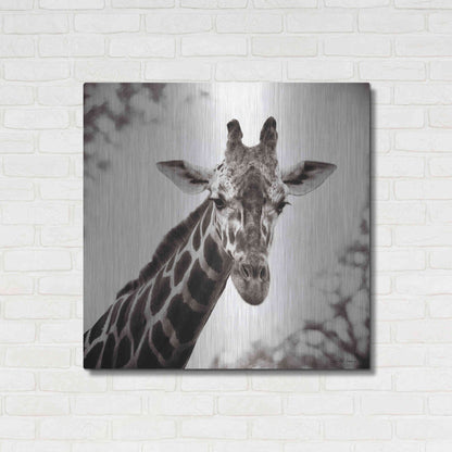 Luxe Metal Art 'Giraffe I' by Debra Van Swearingen, Metal Wall Art,36x36