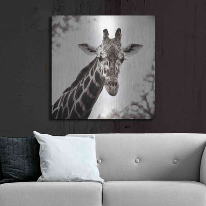 Luxe Metal Art 'Giraffe I' by Debra Van Swearingen, Metal Wall Art,36x36