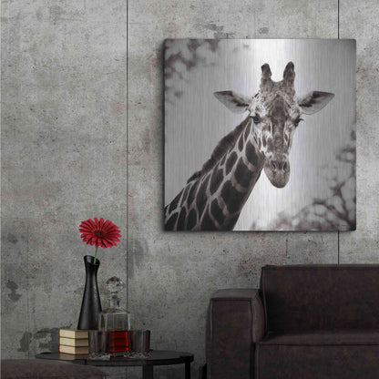 Luxe Metal Art 'Giraffe I' by Debra Van Swearingen, Metal Wall Art,36x36