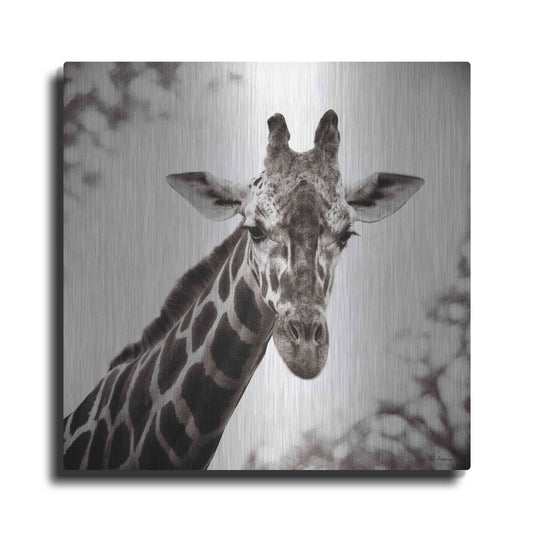 Luxe Metal Art 'Giraffe I' by Debra Van Swearingen, Metal Wall Art